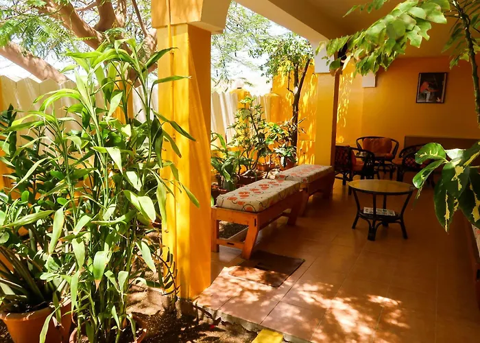 O Jardim Do Vinho, Ac